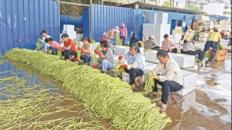 灵川县托稳“菜篮子”助力乡村振兴